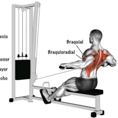 Imagen de Remo sentado